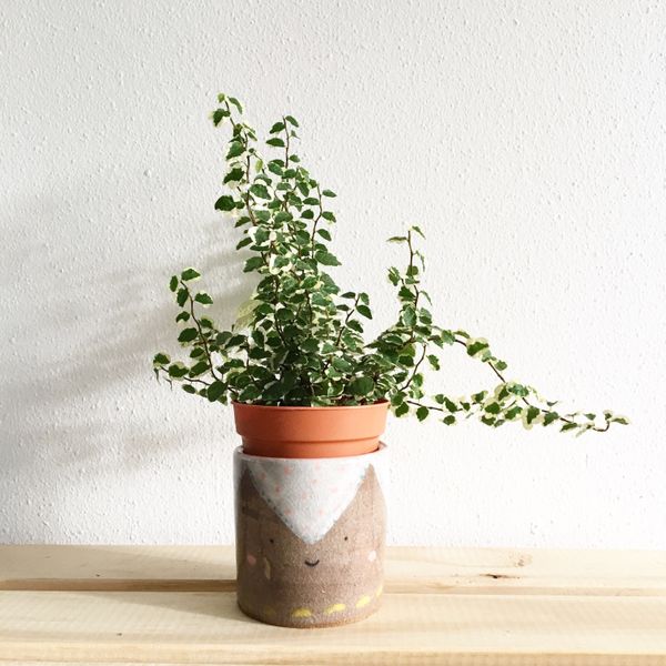 Cache-pot naturel